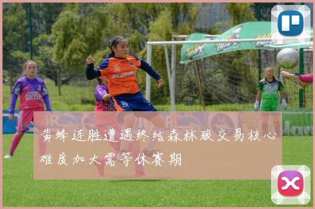黄蜂连胜遭遇终结森林狼交易核心难度加大需等休赛期